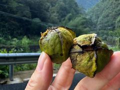 -东天目山风景区