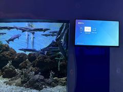 -蓬莱欧乐堡海洋极地世界