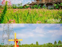 -盈香心动乐园