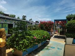 -马大胡子清真西北菜