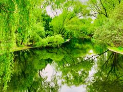 -上海共青森林公园