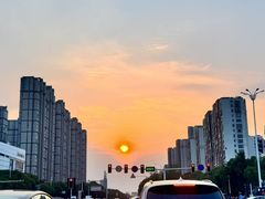 -青枫公园
