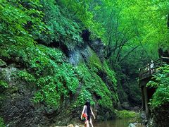 -牛背梁国家森林公园