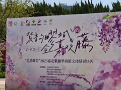 -嘉定紫藤园