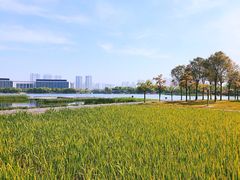 -尚贤河湿地