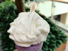 -野人先生现做冰淇淋(西安赛格店)