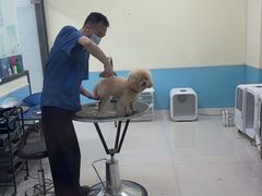 -天宠宠物医院24小时·急重症诊疗中心·全科·腔镜特色(和平分院)