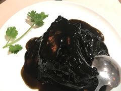 -琥珀·原创臻选店(维家思店)