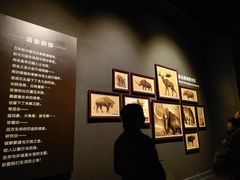 -大庆市博物馆