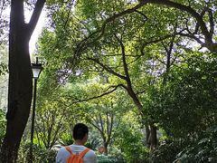 -杭州半山国家森林公园