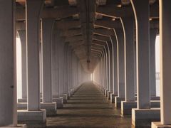 -宝安西湾红树林湿地公园