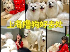 -瑞虹新天地月亮湾
