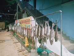-大湾区中央湿地公园-十九涌