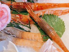 -Mr.Fish鱼鲜生海鲜放题(高德置地冬广场店)
