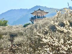 -广州市流溪河国家森林公园
