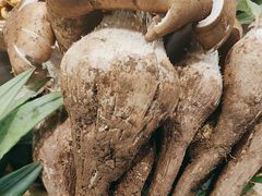 -滇铺子·云南特色菜·鲜花野菜季(东风东路c86店)