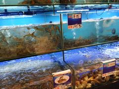 水产区-南海渔家•海鲜•正宗海南菜(海棠湾店)