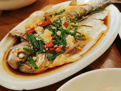 乌镇白水鱼-印象江南(东栅店)