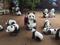 -西安秦岭野生动物园