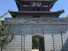 -武清南湖绿博园