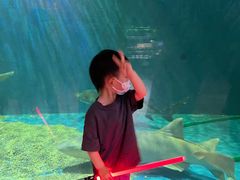 -华夏文旅海洋公园