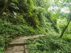 -青城山