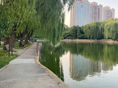 -团结湖公园