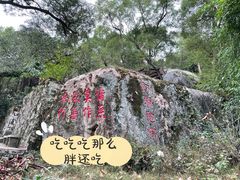 -青芝山风景名胜区