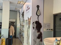 -瑞派申生动物医院·24H夜诊·国际动物医疗中心·骨外科(吴中路店)