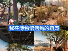 -陕西自然博物馆