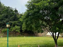 -长沙黑麋峰国家森林公园