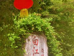 -广州白江湖森林公园