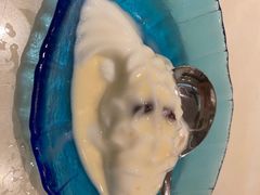 鲤鱼布丁-一哥澳门豆捞·澳门风打边炉(高德置地店)