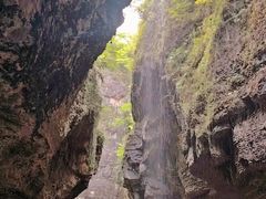 -鹿院坪生态旅游景区