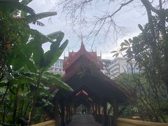 -曼听御花园