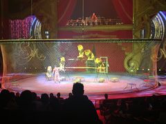 -珠海横琴长隆《卡卡虎奇遇记》