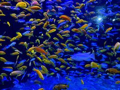 -成都浩海立方海洋公园