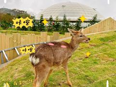 -盈香心动乐园