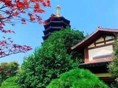 -乳源丽宫国际温泉酒店