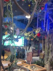 -酷嗒动物文化乐园(cutezoo西溪乐天城店)