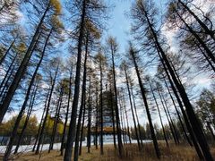 -塞罕坝国家级自然保护区