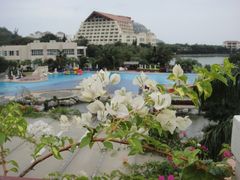 眺望环球-三亚亚龙湾凯莱仙人掌度假酒店