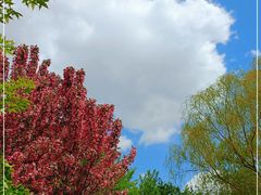 -长白岛森林公园