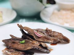 -新吉士·上海菜(浦东LCM置汇旭辉店)