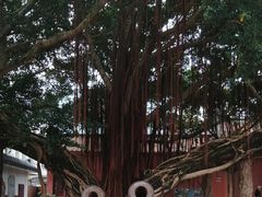 -闽粤南澳总镇府