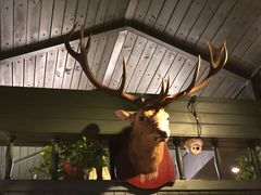 -有才叔的小馆(招商依云曲江店)