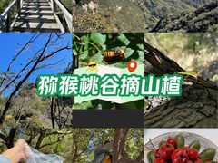 -大岭沟猕猴桃谷风景区