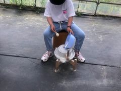 -前小桔亲子创意农场·草莓采摘·露营烧烤