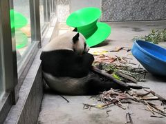 -西安秦岭野生动物园