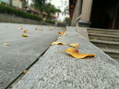 -梵天禅寺